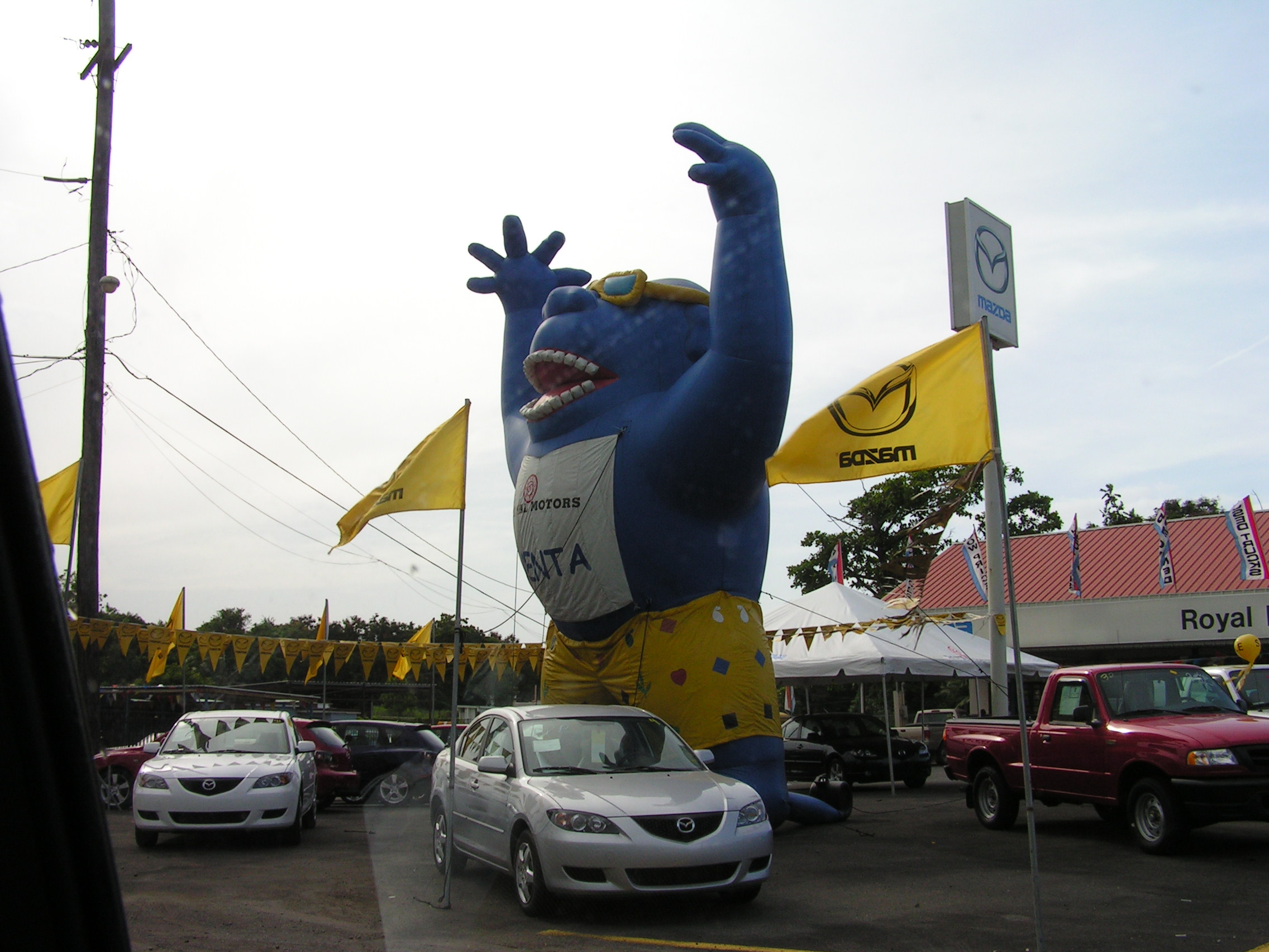 ./2005/Puerto Rico/Part 1/PICT0208.JPG